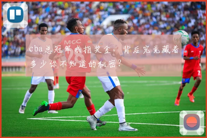 cba总冠军戒指奖金，背后究竟藏着多少你不知道的秘密？