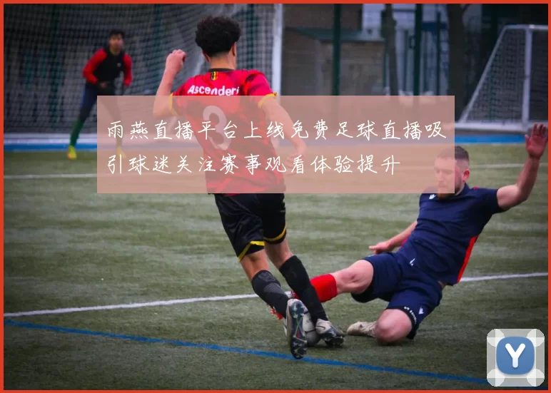 雨燕直播平台上线免费足球直播吸引球迷关注赛事观看体验提升